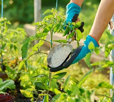 Micronutrient Fertilizers