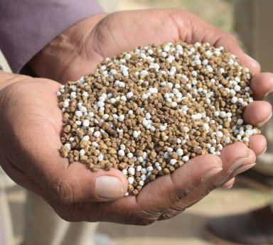 Micronutrient Fertilizers