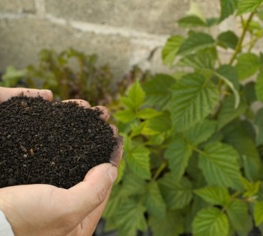 Micronutrient Fertilizers