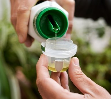 Micronutrient Fertilizers