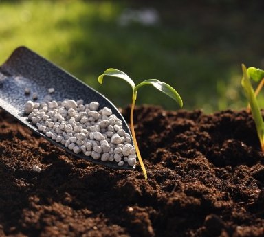 Micronutrient Fertilizers