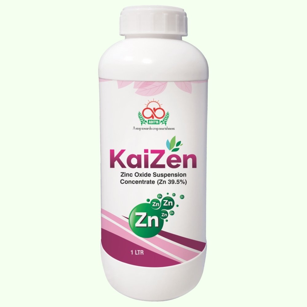 Kaizen